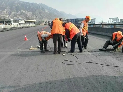 陆丰道路桥梁病害治理